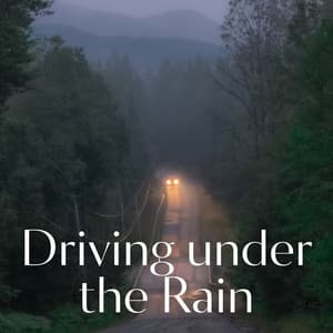 Driving under the Rain - Deep Rain Sampling