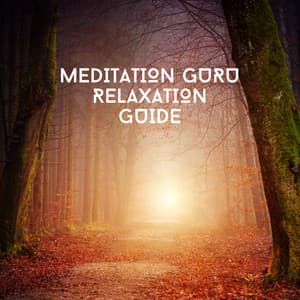 Stillness - Clayton Calm