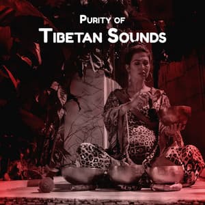 Purity of Tibetan Sounds: Tibetan Monks Chants, Singing Bowls, Buddhist Meditation Music - Meditation Sounds of the Tibet