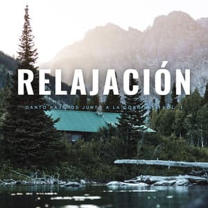 Relajación: Canto Pájaros Junto A La Corriente Vol. 1 - El Proyecto Naturaleza