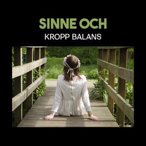 Sinne och kropp balans – New age musik är en naturlig medicin, Lugnande ljud för avslappningsterapi, Lindra all stress - Klubb med hälsosam avkoppling