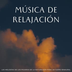 Música De Relajación: Las Melodías De Los Pájaros De La Naturaleza Para Un Sueño Binaural - Ritmos Binaurales Sueño Profundo