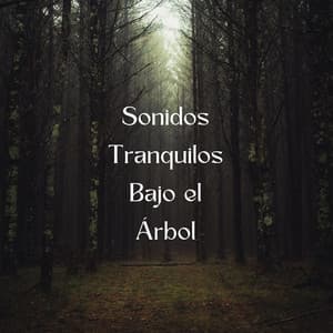 Sonidos Tranquilos Bajo El Árbol - NatuREM
