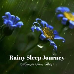 Rainy Sleep Journey: Music for Stress Relief - Stormie