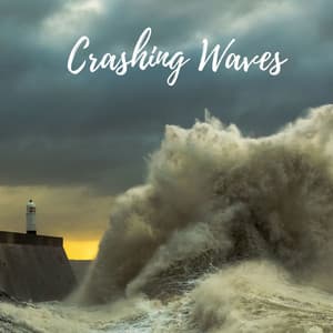 Crashing Waves - Masala Roo