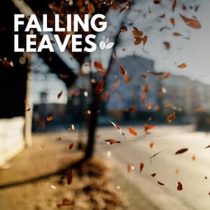 Falling Leaves - Nature & Sounds Backgrounds