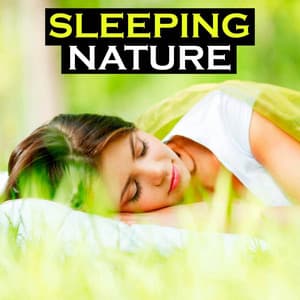 Sleeping Nature - Sleepy Night Music