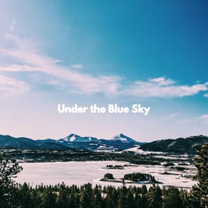 Under the Blue Sky - Work & Jazz
