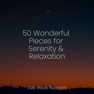 50 Wonderful Pieces for Serenity & Relaxation - Guided Meditation