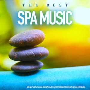 The Best Spa Music - Calm Spa Music For Massage, Healing, Anxiety, Stress Relief, Meditation, Mindfulness, Yoga, Sleep and Relaxation - Spa Music & Meditation Collective
