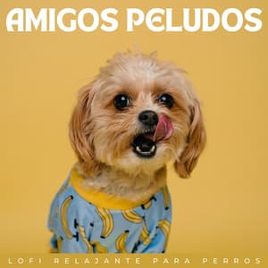 Amigos Peludos: Lofi Relajante Para Perros - Estado de distracción