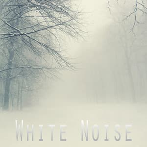 White Noise - The White Noise