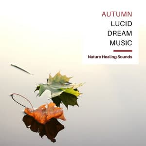 Autumn Lucid Dream Music - Nature Healing Sounds for Cold Restless Nights - Fall Equinox