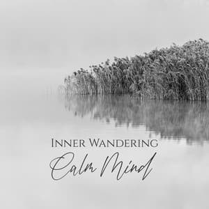 Inner Wandering, Calm Mind - Relieving Stress Music Collection