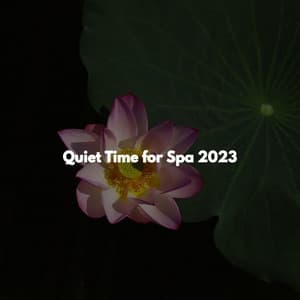 Quiet Time for Spa 2023 - Spa Music Playlist