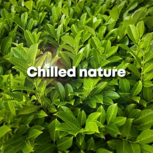 Chilled Nature - Deep Sleep