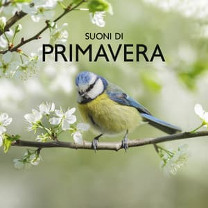 Suoni di primavera - Zona pura di suoni naturali