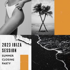 2023 Ibiza Session: Summer Closing Party, Electro House Chill Lounge, Beach Beats - DJ Infinity BGM