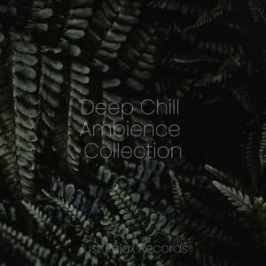 Deep Chill Ambience Collection - Guided Meditation