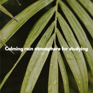 Calming rain atmosphere for studying - Musica para Dormir Jazz