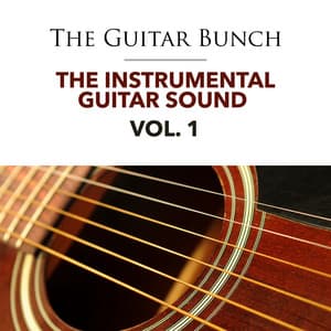The Instrumental Guitar Sound - Vol. 1 - The Guitar Bunch