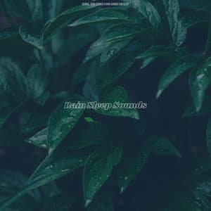 Rain Sleep Sounds - Derrol