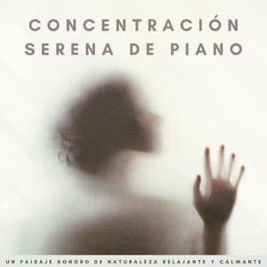 Concentración Serena De Piano: Un Paisaje Sonoro De Naturaleza Relajante Y Calmante - Relajación Piano
