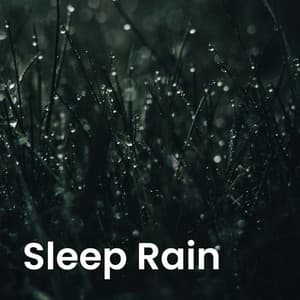 Sleep Rain - JBE Nature Sounds