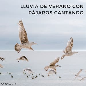 Lluvia De Verano Con Pájaros Cantando Vol. 1 - Sonidos de lluvia y ruido de fondo
