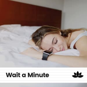 Wait a Minute - Soothing Chill Out for Insomnia