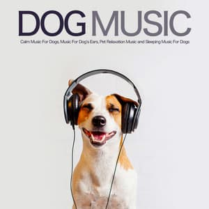 Dog Music: Calm Music For Dogs, Music For Dog’s Ears, Pet Relaxation Music and Sleeping Music For Dogs - Dog Music