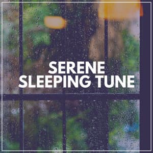 Serene Sleeping Tune - Rain Sounds for Sleep Aid