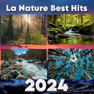 La Natures Best Waves, Frequencies, Natural Sounds, Top Most Played 2024 - Sons De La Nature Project France: La Nouvelle Edition