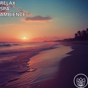 Spa Music For Spa's - Spa