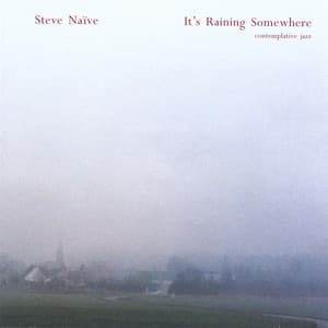 It's Raining Somewhere - Steve Nieve