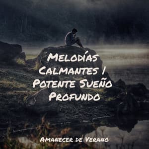 Melodías Calmantes | Potente Sueño Profundo - Meditación Maestro