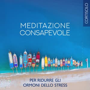 Meditazione consapevole per ridurre gli ormoni dello stress : Meditazione guidata per cambiare la tua energia, Umore o stato emotivo - Musica Relax Academia
