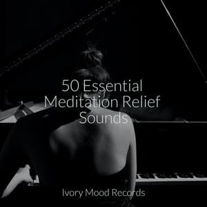 50 Essential Meditation Relief Sounds - Ivory Mood