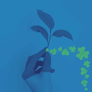 Jazz Organ - Bgm for Fun Rhythm - Smooth Deluxe Dinner Jazz Group