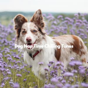 Dog Nap Time Chilling Tunes - Frühstücksmusik