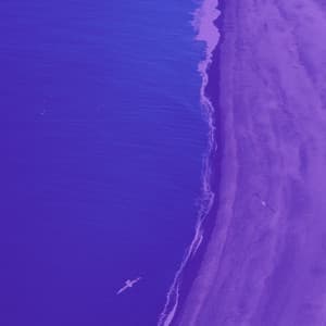 Music for Mental Health - Dream-Like Trumpet Jazz - Reading Music