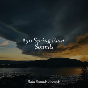 #50 Spring Rain Sounds - Calm Music for Studying