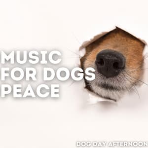 Dog Day Afternoon - Music For Dogs Peace