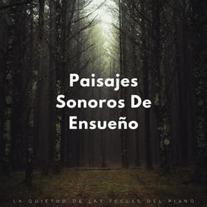 Paisajes Sonoros De Ensueño: La Quietud De Las Teclas Del Piano - Jazz de cena suave