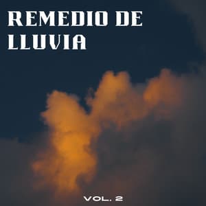 Remedio De Lluvia Vol. 2 - Sonidos de lluvia pesada