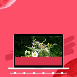 Background Music - Total Relax