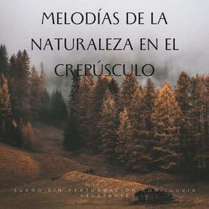 Melodías De La Naturaleza En El Crepúsculo: Sueño Sin Perturbación Con Lluvia Relajante - Sonidos de lluvia para conciliar el sueño