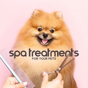 SPA Treatments for Your Pets - Soothing Sounds Universe
