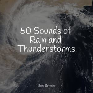 50 Sounds of Rain and Thunderstorms - Entspannungsmusik Oase