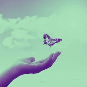 High Class Background for Literary Daydreams - Musica para Estudiar Playlist